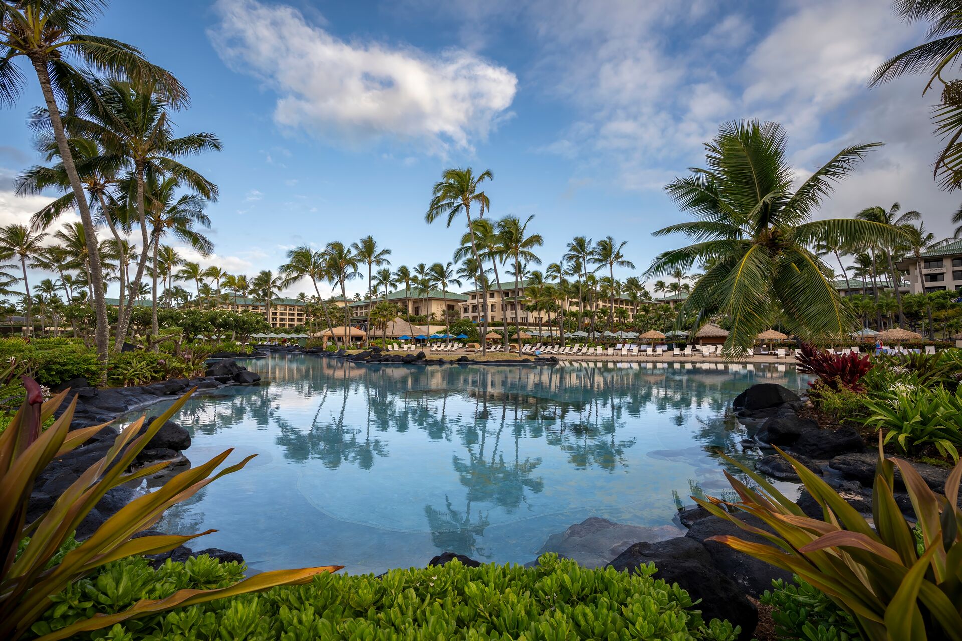 Gary Riegel - stock.adobe.com