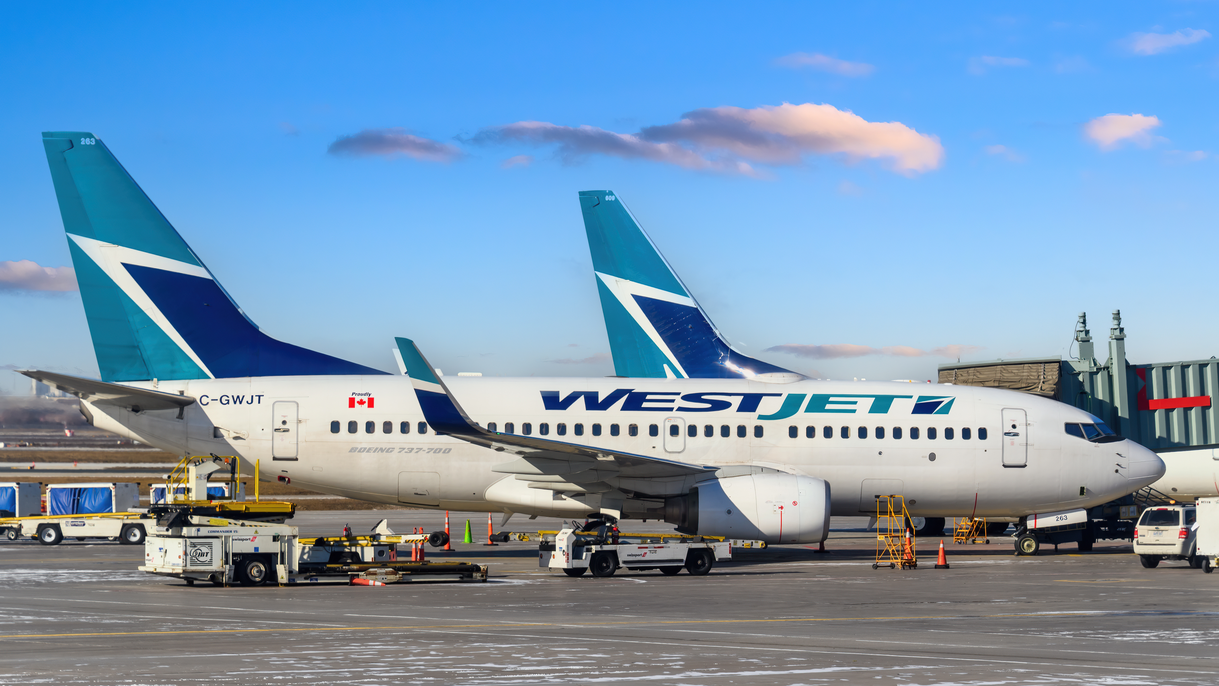 Data File Rbc Status New WestJet RBC business card grants instant Silver status