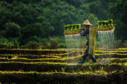 Indonesia - Adobe Stock