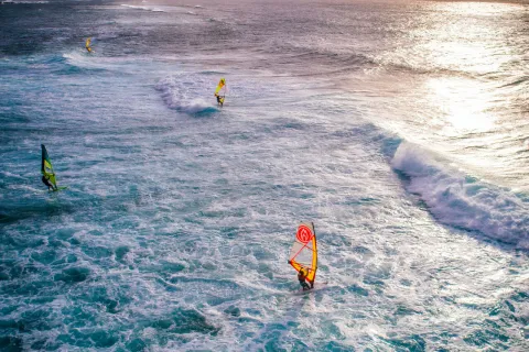 Maui Windsurfing