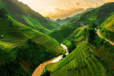 Vietnam 