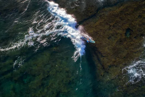 Surfing Maui