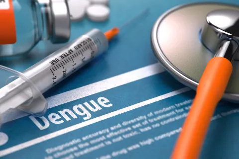 Dengue Fever