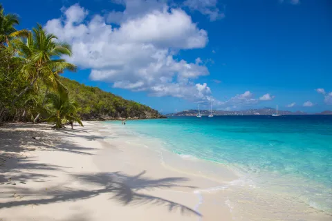 BVI