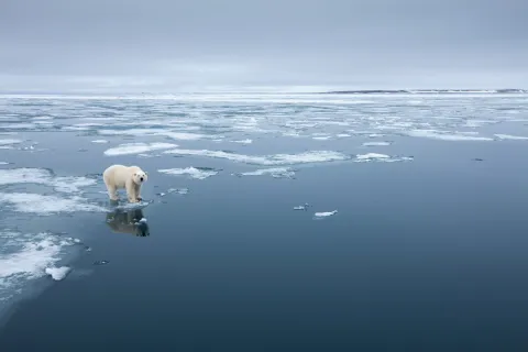 Svalbard