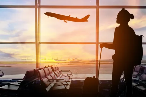 Traveler