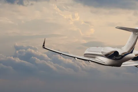Private charter jet evacuation flight