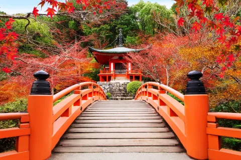 japan walking bridge