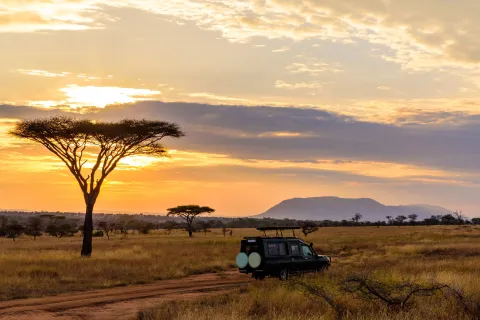 Sunset in savannah of Africa with acacia trees