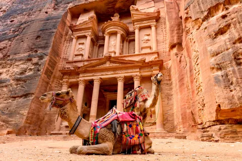 Spectacular view of two beautiful camels in front of Al Khazneh (The Treasury) in Petra.