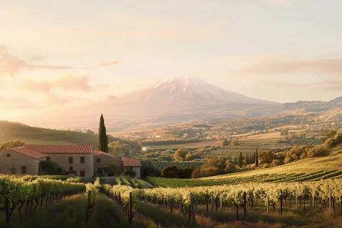 Mt Etna Overlooking Sicilian Countryside with Vineyards and Buildings