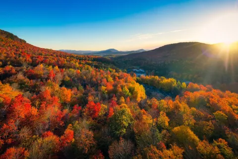 Aerial view of Mountain Forests with Brilliant Fall Colors in Autumn at Sunrise, New England