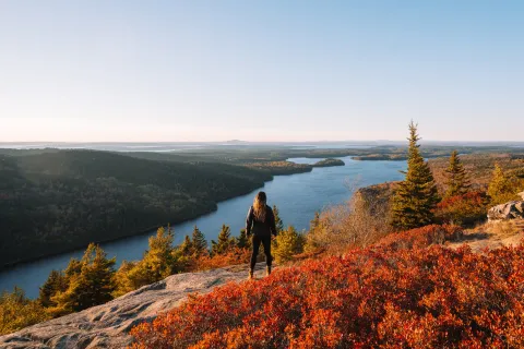 Female Hiker Epic View Acadia National Park Sunrise Beech Mountain Orange Leaves Ocean View Beautiful Wide Landscape During Fall Foliage in Maine