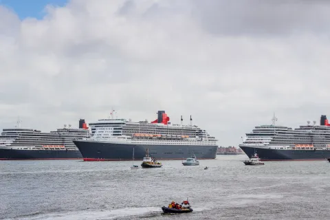 Three Queens close up