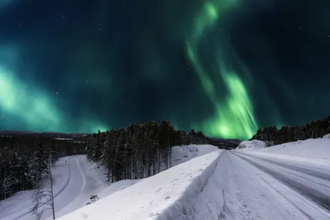 The wild Laapland