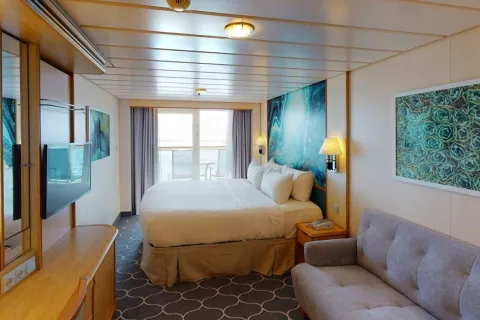Freedom of the Seas - Ocean View Balcony