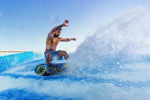 Navigator of the Seas - Flowrider®