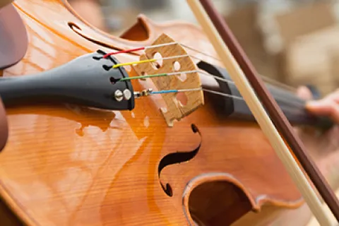 Viking Idi - Classical & Regional Musicians