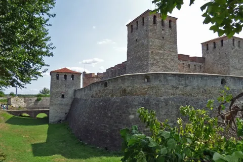 Vidin