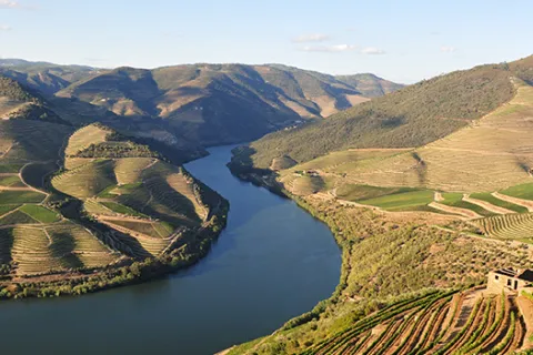 Régua