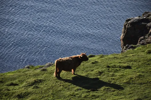 Bornholm Island
