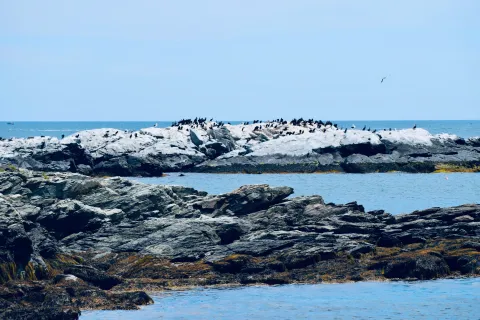 Newport, Rhode Island
