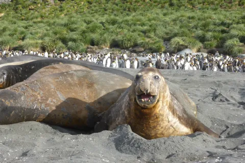 Darwin Bay, Genovesa Island, Galápagos