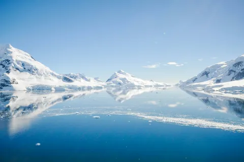 Antarctic Experience