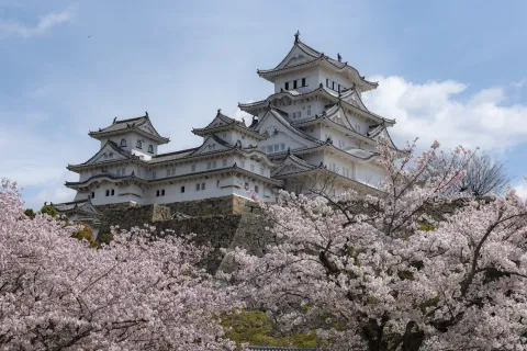 Kochi