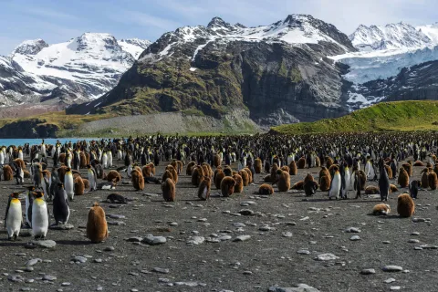 El Barranco, Genovesa Island, Galápagos