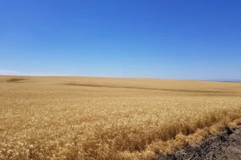 Pendleton, Oregon