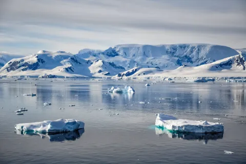 Antarctic Sound