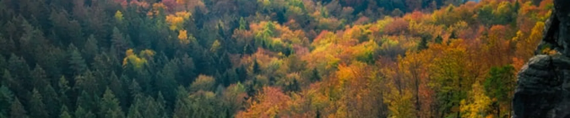 Bad Schandau