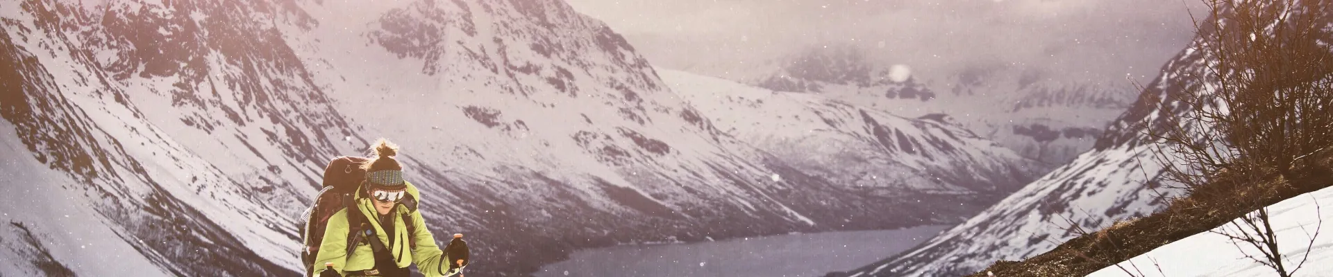 Lyngseidet