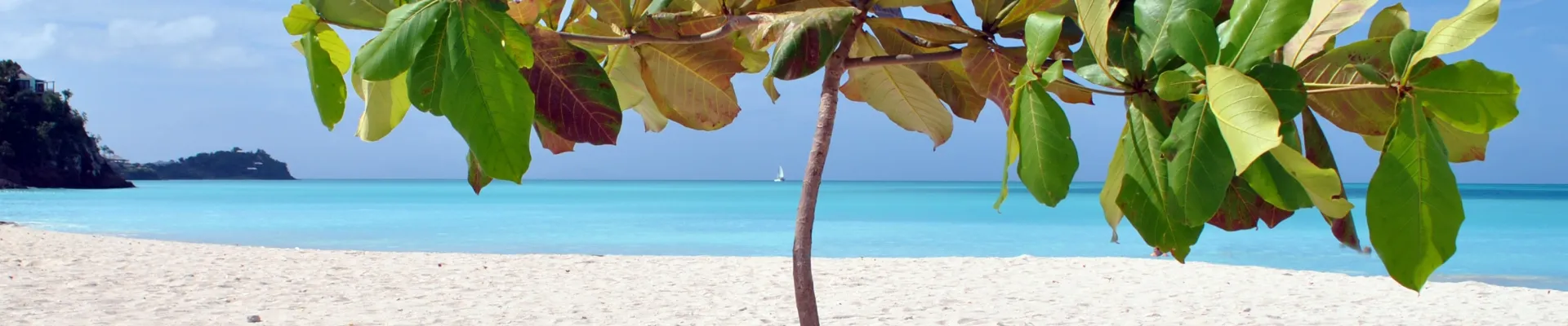 Prickly Pear Island