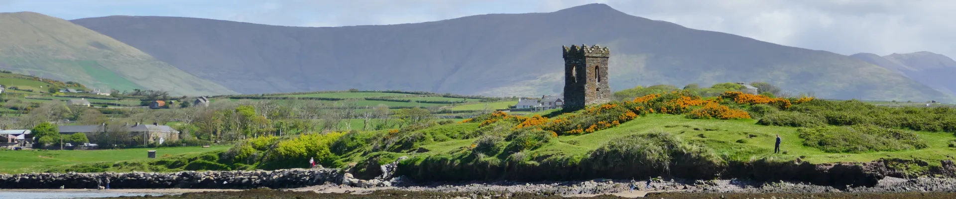Dingle
