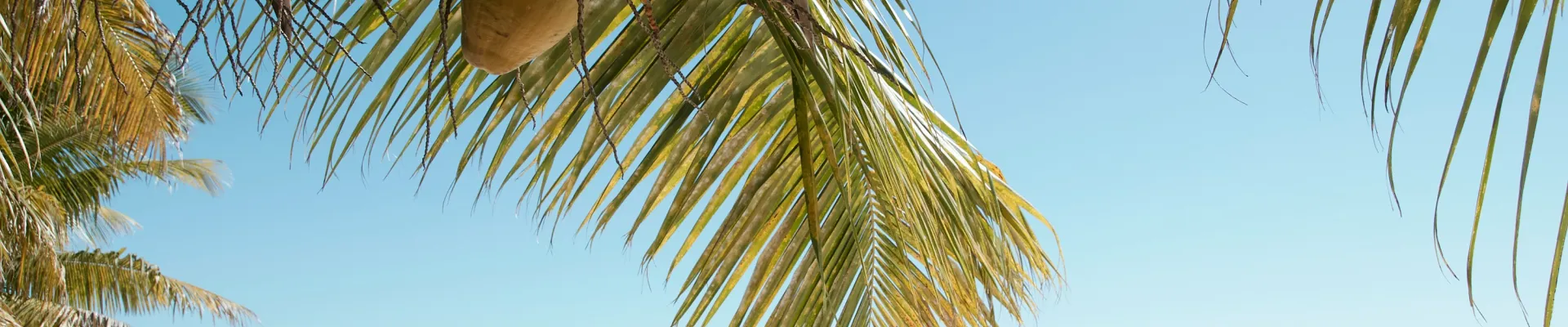 Antsiranana
