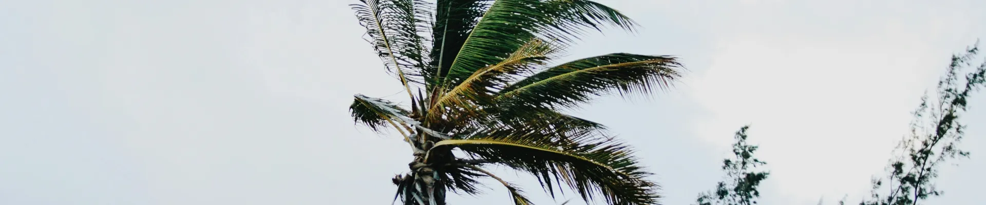 Culebra Island