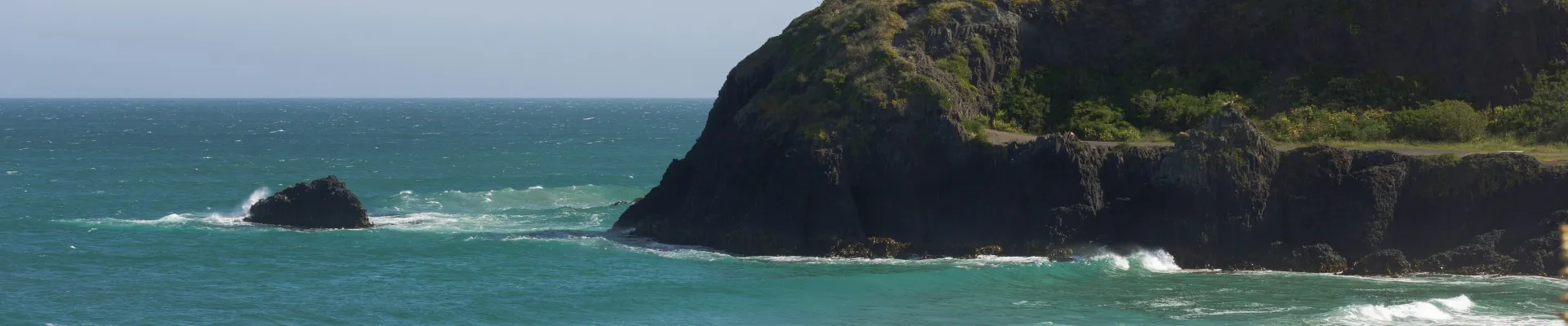 Dunedin