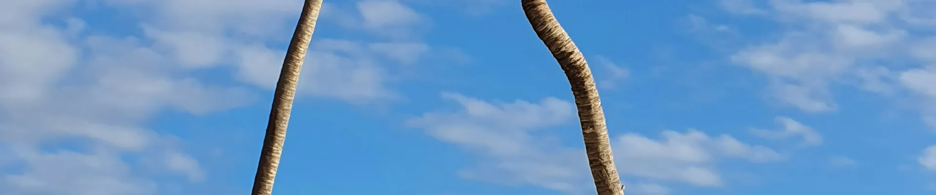 Punta Cana