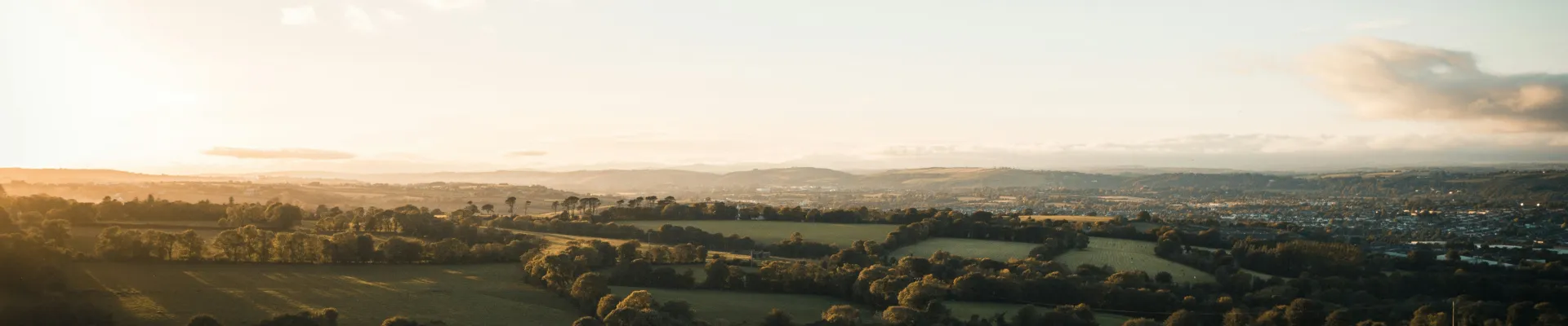 Cork