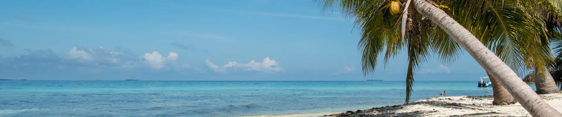 Harvest Caye