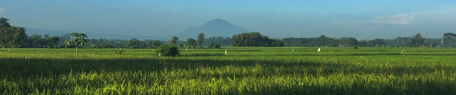 Probolinggo