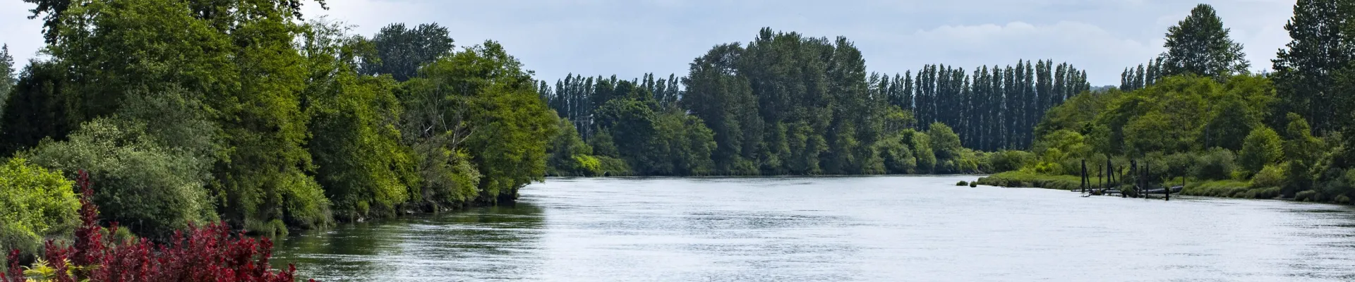 Marktheidenfeld