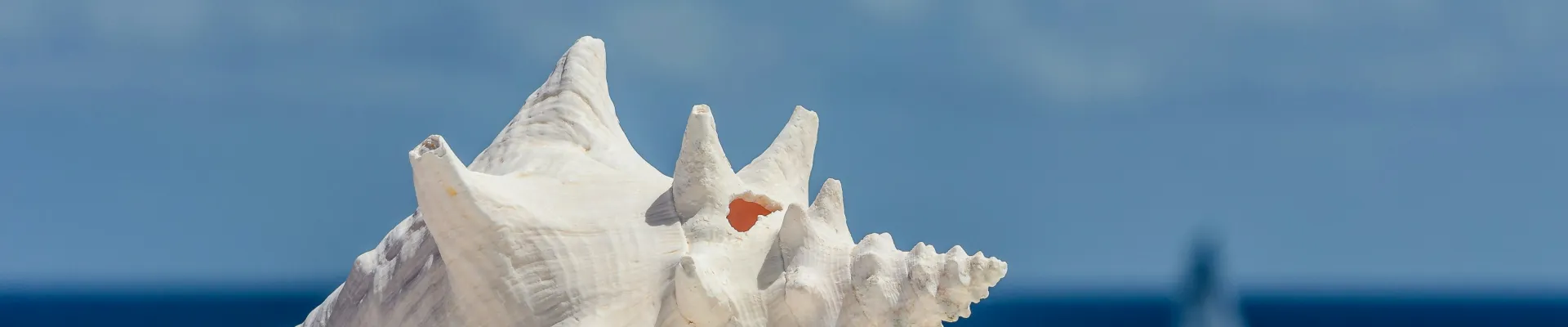 Anguilla