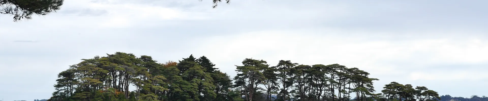 Miyako, Iwate