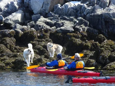 m/v Sea Spirit - Enrichment
