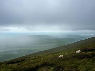 Ireland Summer