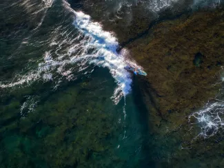 Surfing Maui