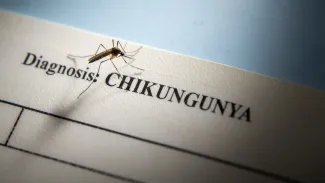Chikungunya